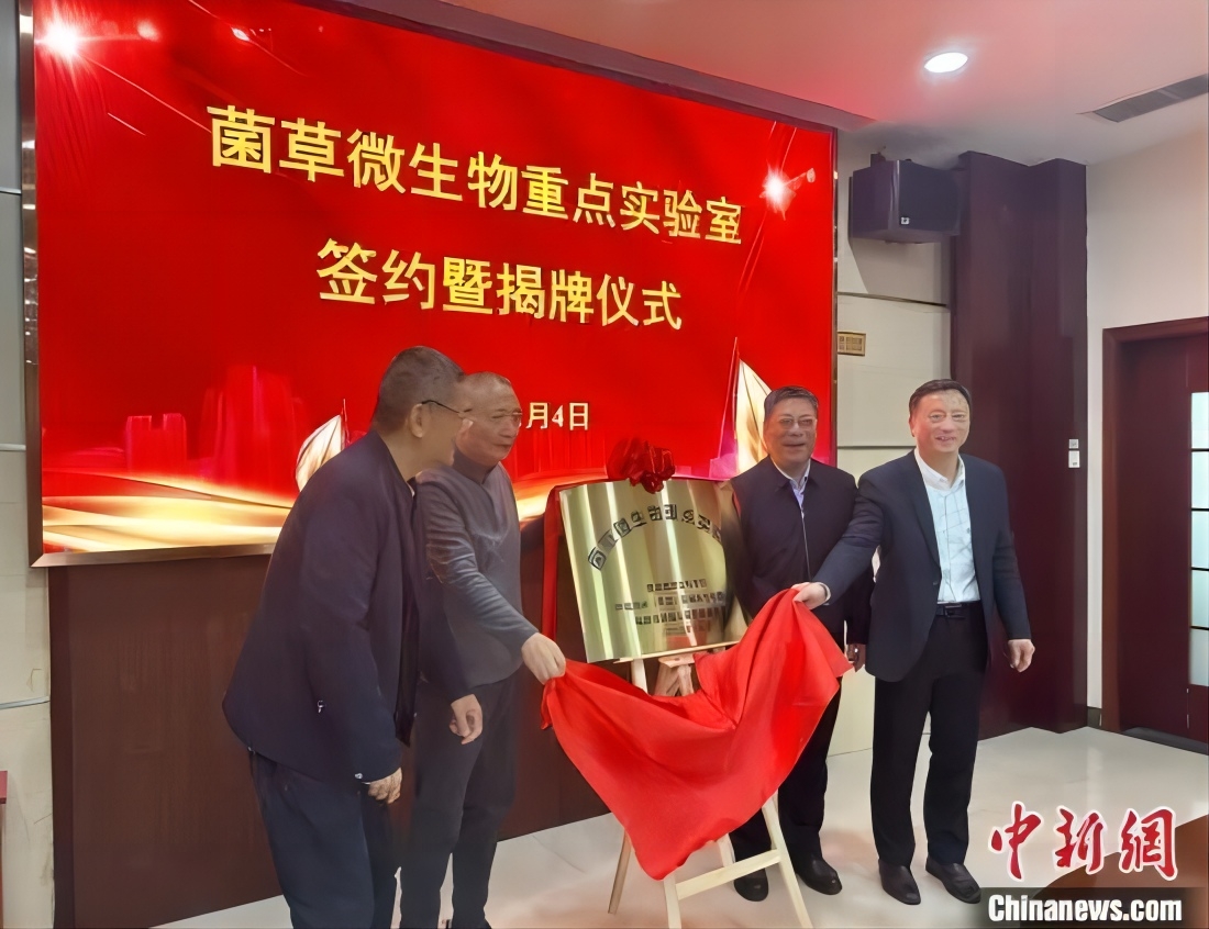 福建福州成立菌草微生物重點(diǎn)實(shí)驗(yàn)室