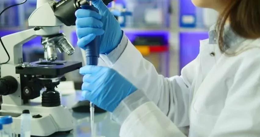 1597282221556013.jpg 19.jpg